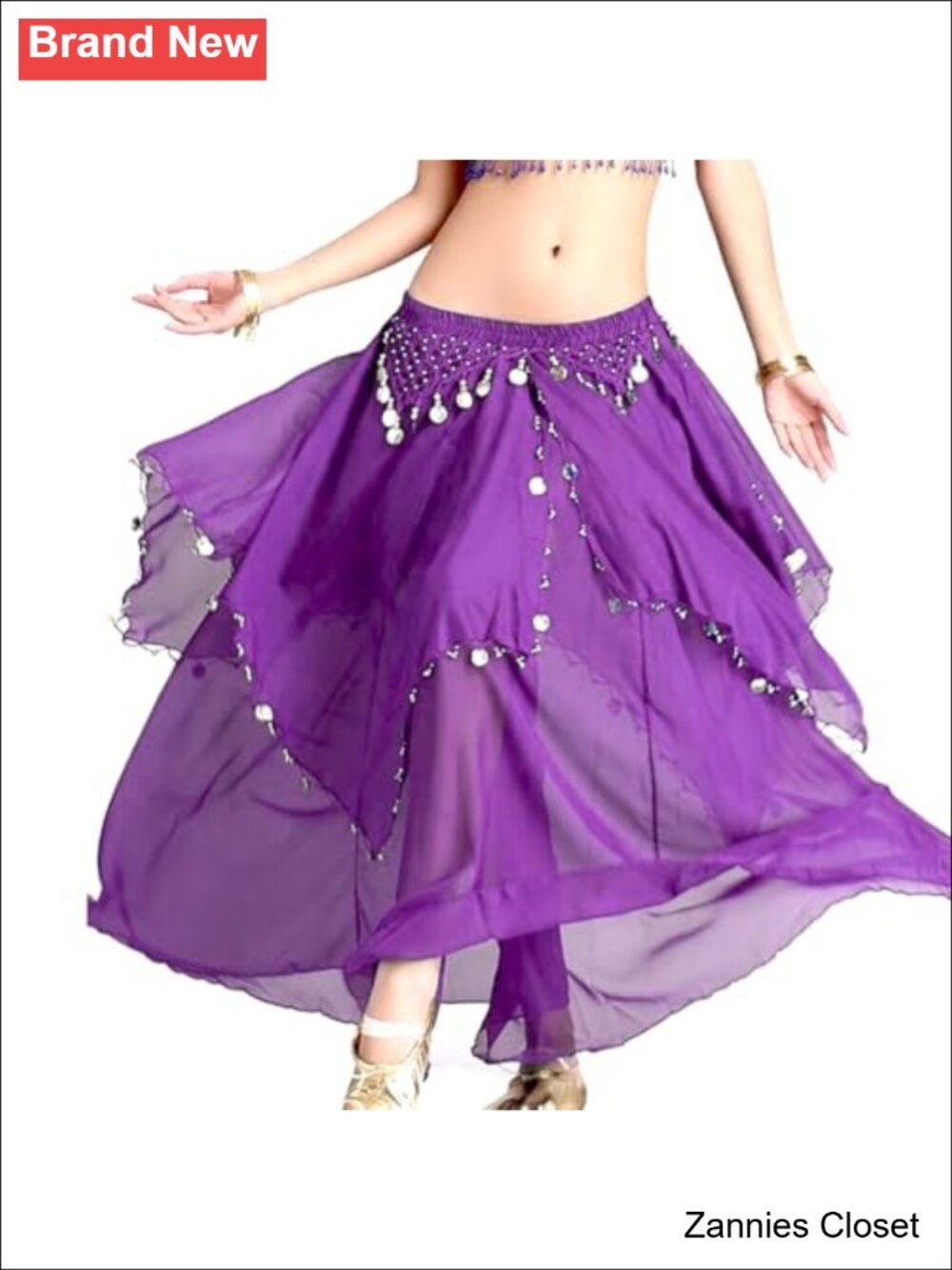 ✨Tefrica Women's Chiffon Belly Dance Costume Skirt with Coins Indian Dance